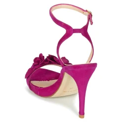 Fericelli - GLAM