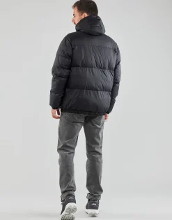 Fila - TIREBLOU