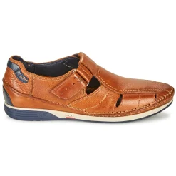 Fluchos - JAMES