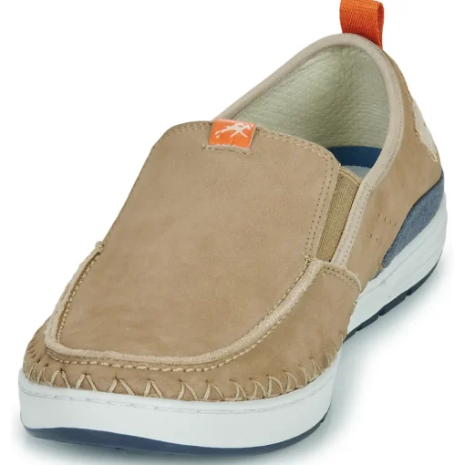 Fluchos - LESTER