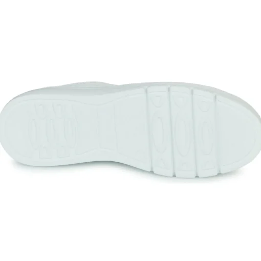 Fluchos - POMPAS