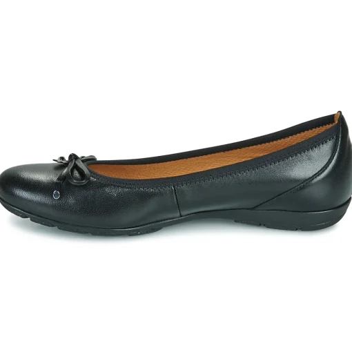 Gabor - 4164