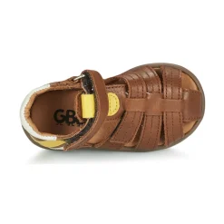 GBB - ALEXO