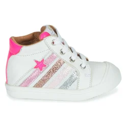 GBB - ALICIA