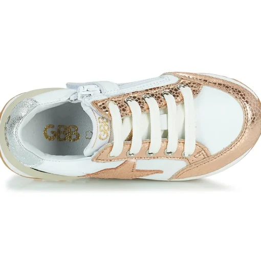 GBB - AMALIA