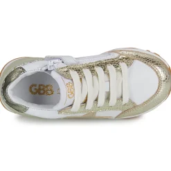 GBB - AMALIA
