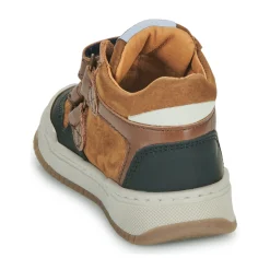 GBB - ANTONIO