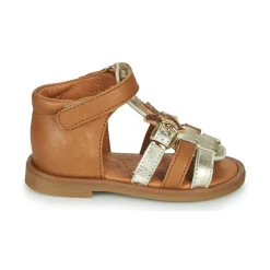 GBB - CARETTE