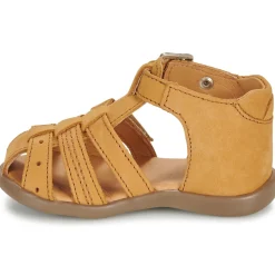 GBB - CARIGO