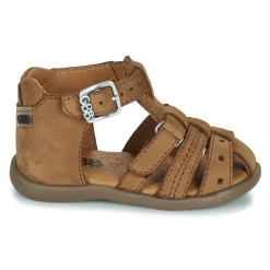 GBB - CARIGO