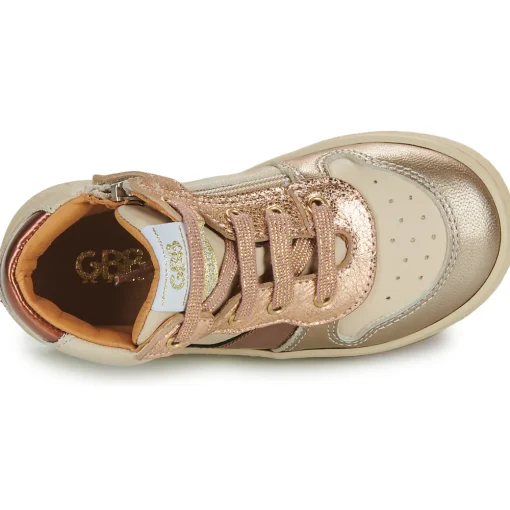 GBB - FELIPA
