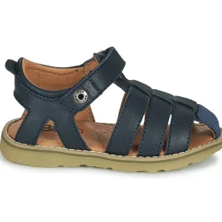 GBB - FERNATO