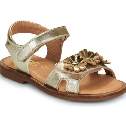 GBB - FLORABELLE