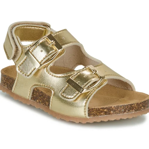 GBB - REBECCA