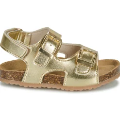 GBB - REBECCA