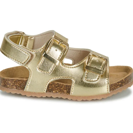 GBB - REBECCA