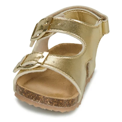 GBB - REBECCA