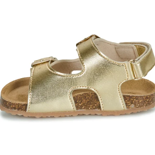 GBB - REBECCA
