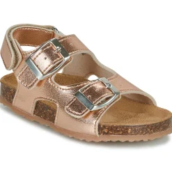 GBB - REBECCA