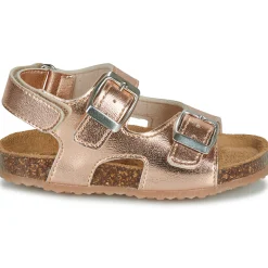 GBB - REBECCA
