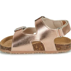 GBB - REBECCA