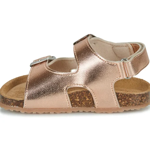 GBB - REBECCA