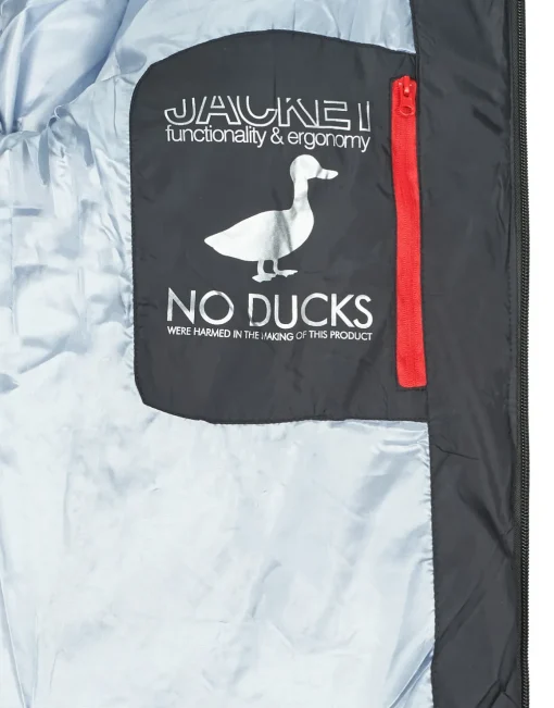 Geographical Norway - CASIDAN