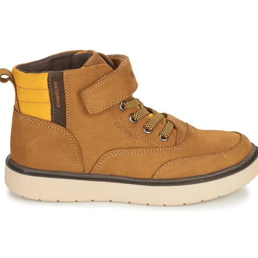 Geox - RIDDOCK WPF
