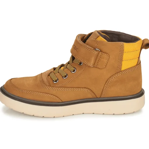 Geox - RIDDOCK WPF