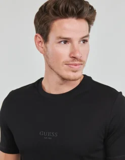 Guess - AIDY