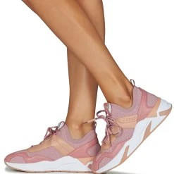 Guess - GENIVER