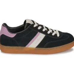 Guess - NOLINAS