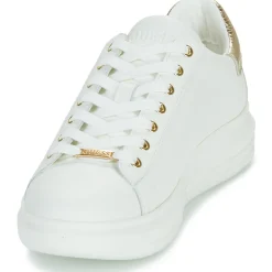 Guess - VIBO