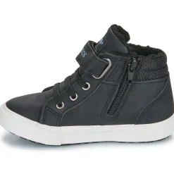 Kangaroos - Kavu III