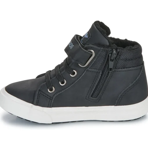 Kangaroos - Kavu III