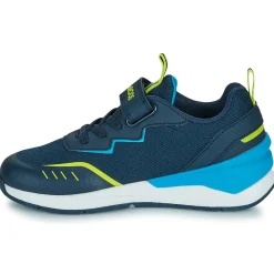 Kangaroos - KD-Batter EV