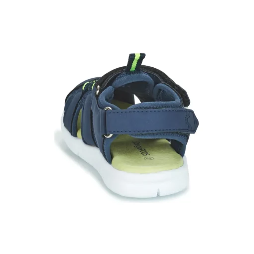 Kangaroos - K-MINI