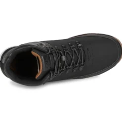 Kappa - LOGO MONSI MID
