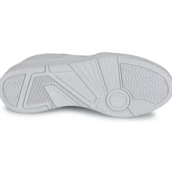 Lacoste - LINESHOT