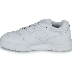 Lacoste - LINESHOT