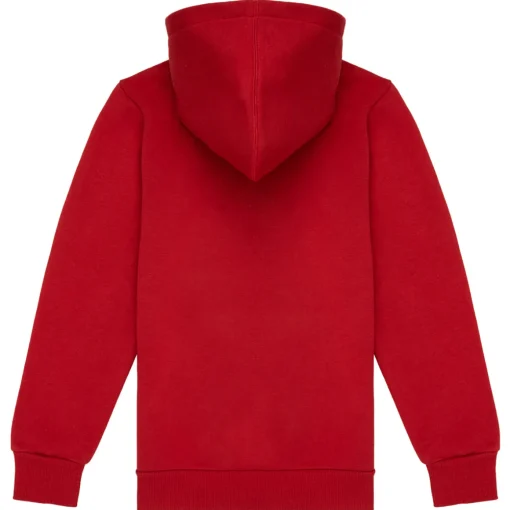 Levi's - BATWING SCREENPRINT HOODIE