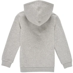Levi's - BATWING SCREENPRINT HOODIE