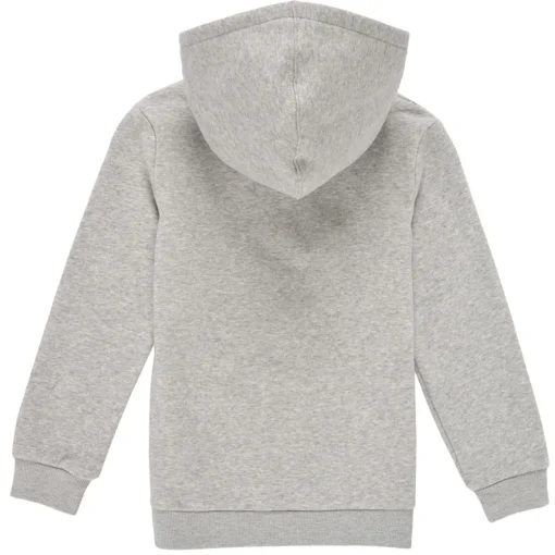 Levi's - BATWING SCREENPRINT HOODIE