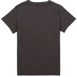Levi's - FLAME BATWING TEE