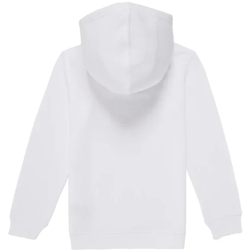 Levi's - PALM BATWING FILL HOODIE