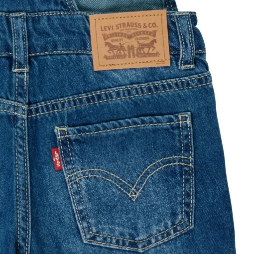 Levi's - RAILROAD STRIPE SHORTALL