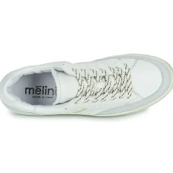 Meline - CAR140