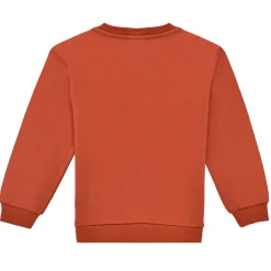 Name it - NKFOCALI LS SWEAT
