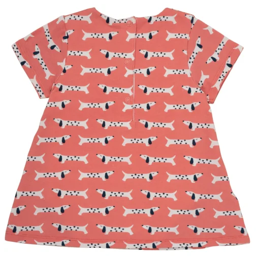Noukie's - KENZO