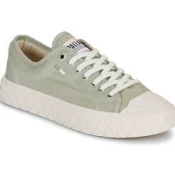 Palladium - PALLA ACE CVS